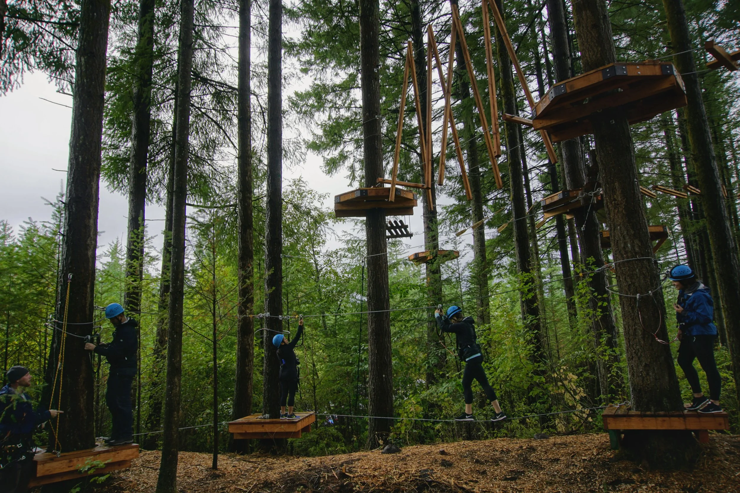 Skamania Lodge Has A New Aerial Park! — Pacific North Wanderers